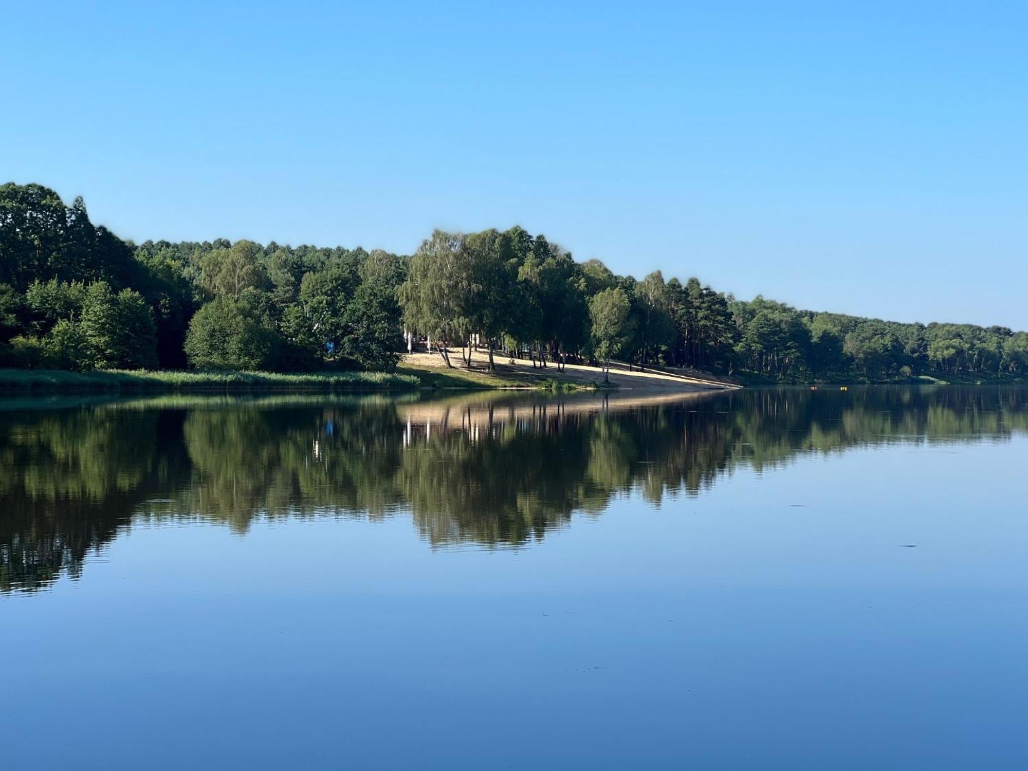 Family & Business Sauna Teznia Apartments: Luxurious Forest Retreat With Amenities *